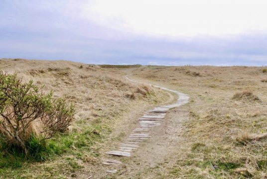 JÆREN-Walking path by Kvassheim Lighthouse