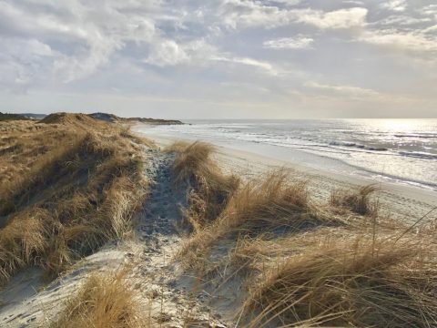 JÆREN-Orrestranden-south part