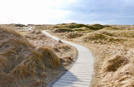 JÆREN-Wooden path to Orrestranden