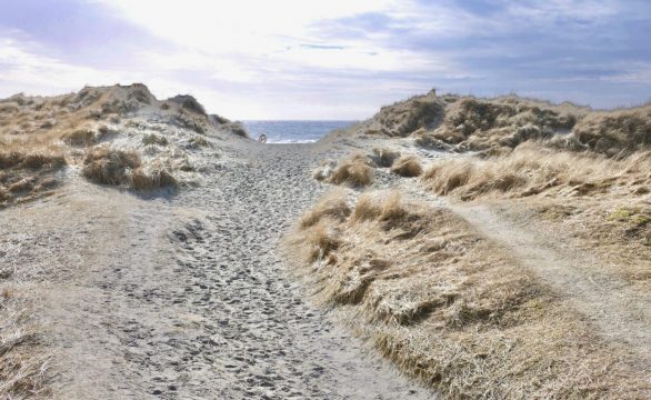 JÆREN-Path to Orrestranden